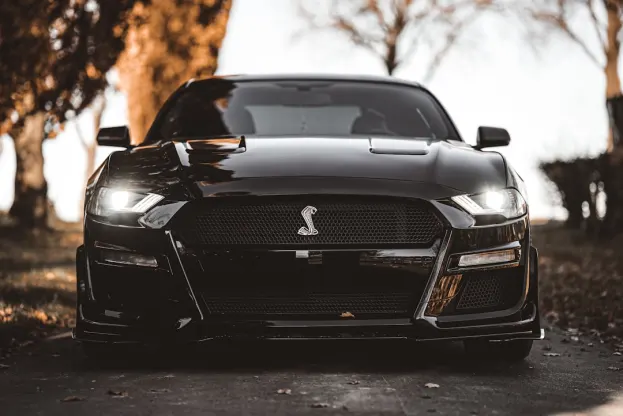 Pure Kasyno Aplikacja Android/iOS